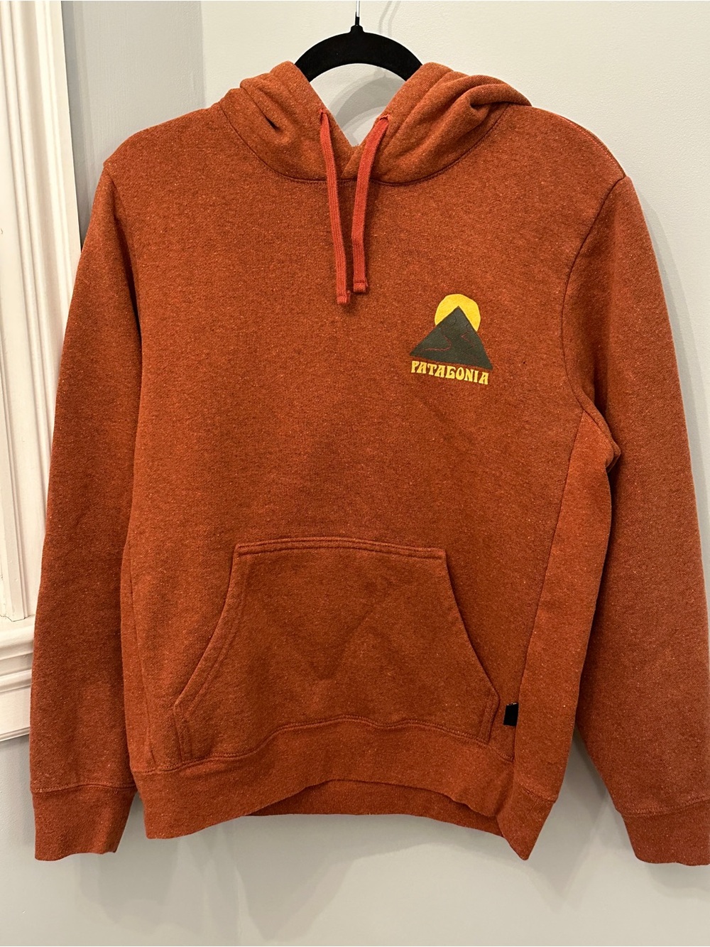 Patagonia Unisex Rust Orange Hooded Pullover Sweatshirt